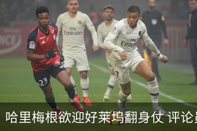 哈里梅根欲迎好莱坞翻身仗 评论员称需先交出控制权