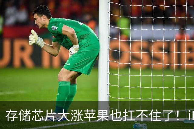 存储芯片大涨苹果也扛不住了！iPhone 17涨价800元 起售价6799元